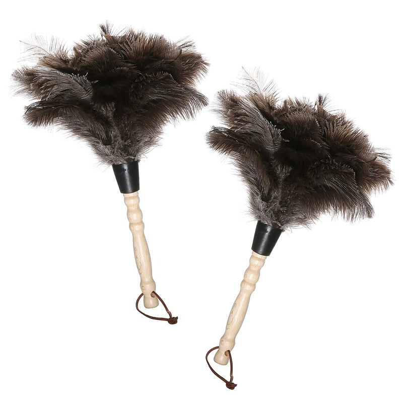 Midoneat Natural Gray Ostrich Feather Duster,2 Packs,Car Duster Interior/Exterior Cleaner, Cleaning for Blinds Kitchen Keyboard Office, Smart and Soft and Fluffy (Gray) - Image 1